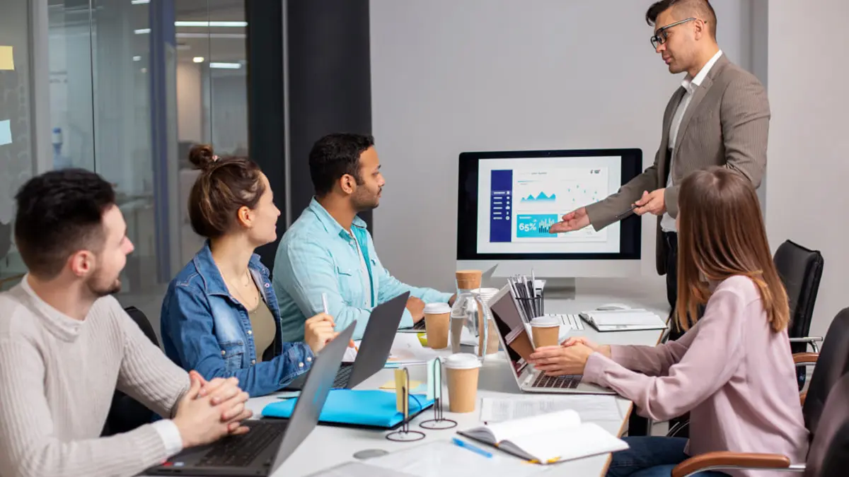 ERP Consulting